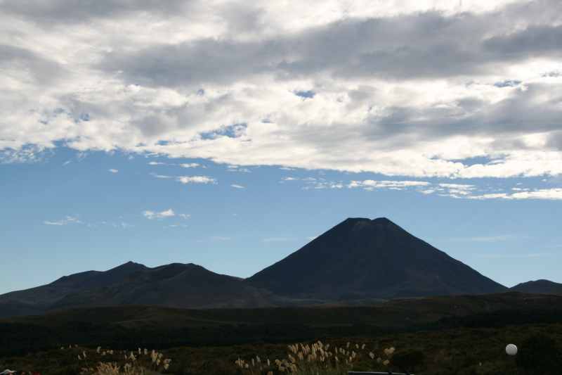 Nieuw-Zeeland 2011 - 0889